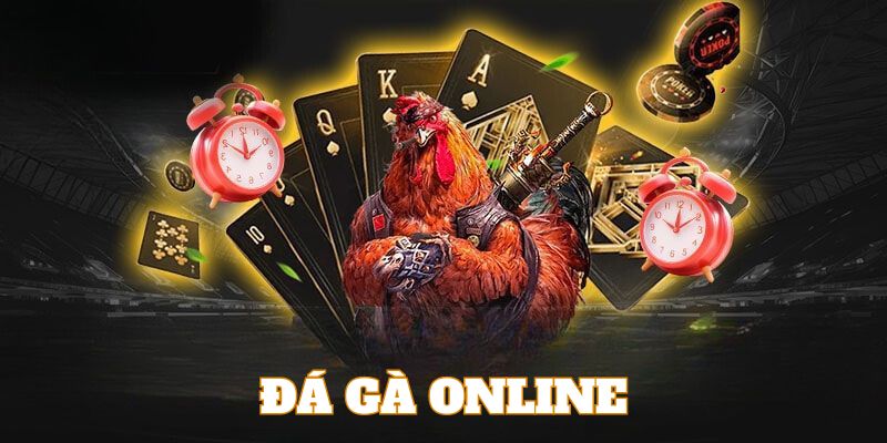 Đá Gà 23win04 - Giao diện thân thiện, dễ thao tác